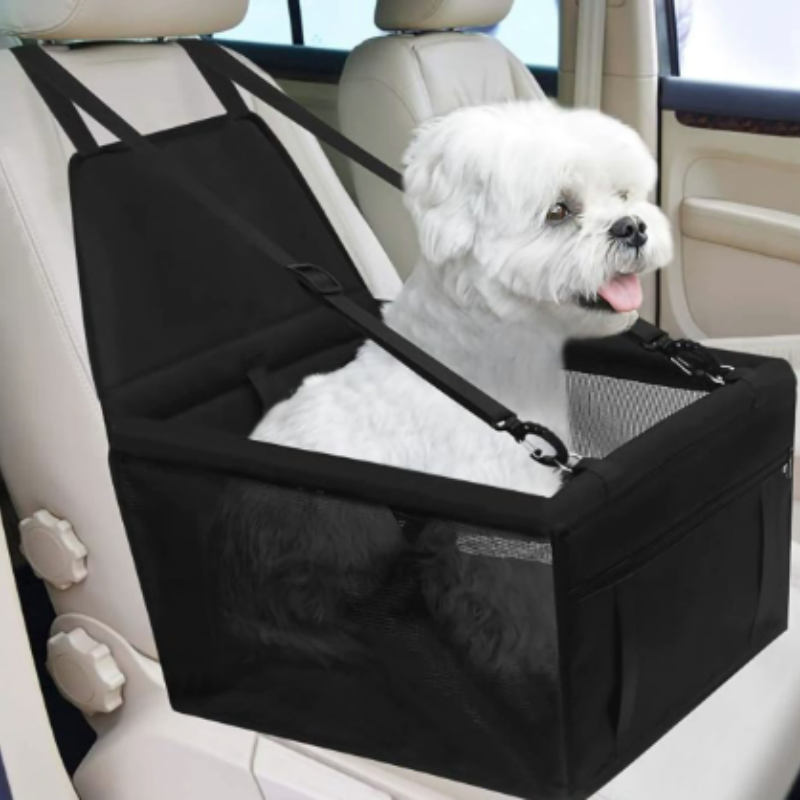 Duurzame, krasbestendige honde - Car Accessories You Must Have recensie en prijs