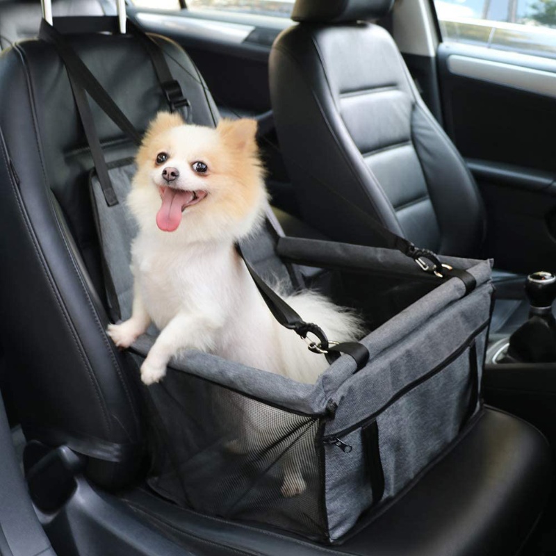 Duurzame, krasbestendige honde - Car Accessories You Must Have recensie en prijs